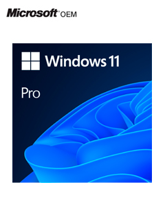 Sistema Operativo Microsoft Windows 11 Pro 64-bit Spanish LATAM OEM DVD